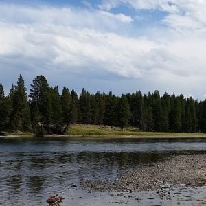 Meet your Posher, Jackson